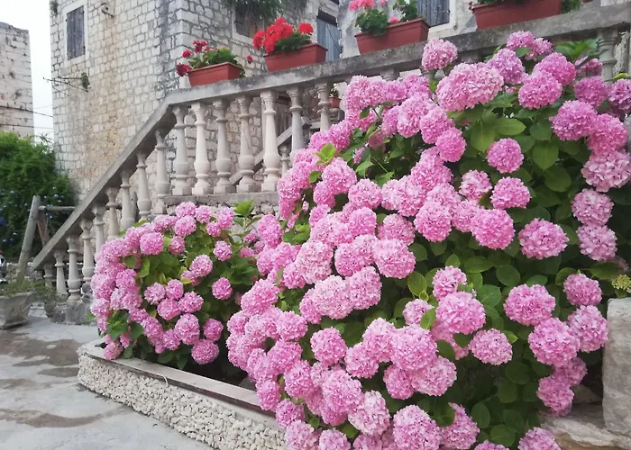 艾克萨尔托旅馆 特罗吉尔