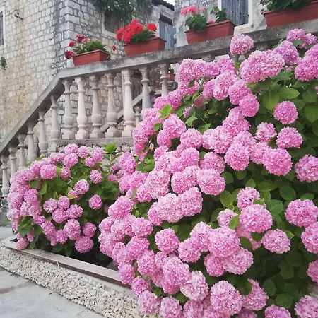 Exalto Trogir