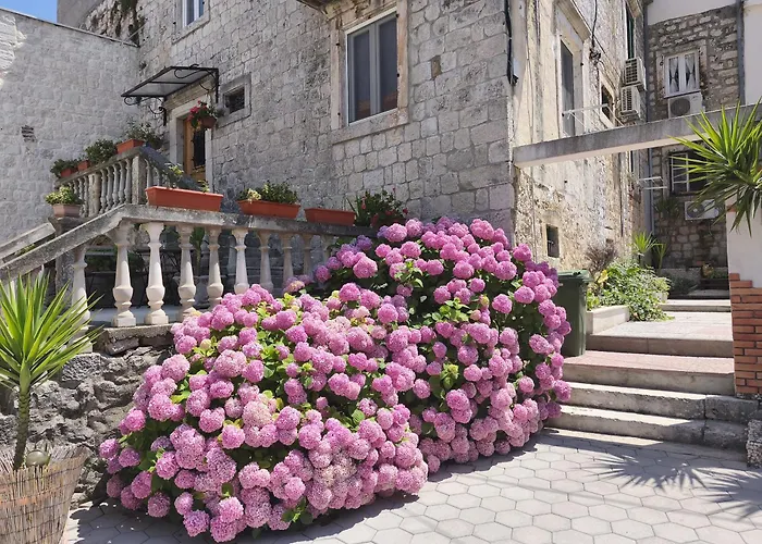 Exalto Gæstehus Trogir