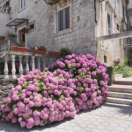 Exalto Maison d'hôtes Trogir